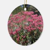 Een bloeiend Californië: Roodblowered Buckwheat Keramisch Ornament (Links)