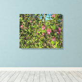 Een bloeiend Californië: Roze currant Canvas Afdruk (Insitu (Houten vloer))