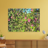 Een bloeiend Californië: Roze currant Canvas Afdruk (Insitu (Woonkamer))