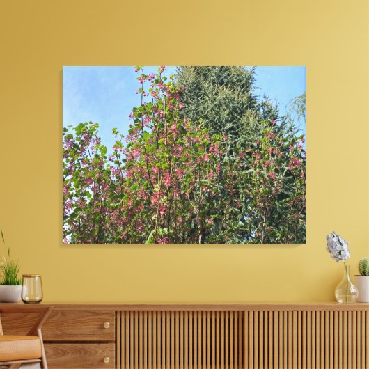 Een bloeiend Californië: Roze currant Canvas Afdruk (Insitu (Woonkamer))
