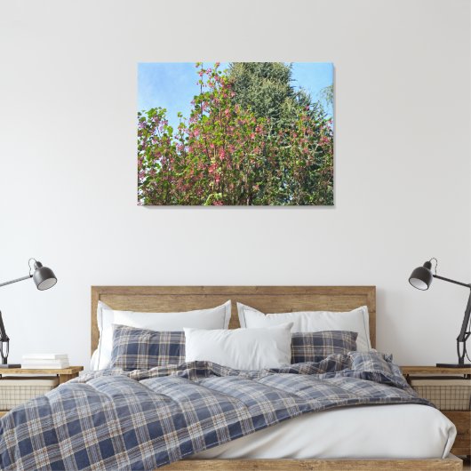 Een bloeiend Californië: Roze currant Canvas Afdruk (Insitu (Slaapkamer))