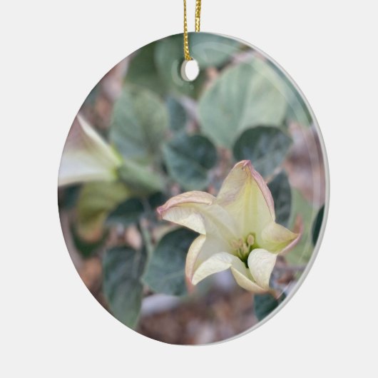 Een bloeiend Californië: Sacred Datura Ceramic Orn Keramisch Ornament (Links)