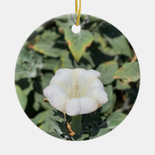 Een bloeiend Californië: Sacred Datura Keramisch Ornament