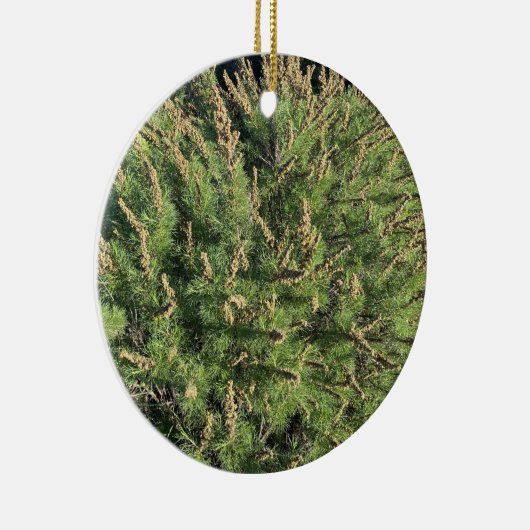 Een bloeiend Californië: Sagebrush Ceramic Ornamen Keramisch Ornament (Rechts)