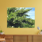 Een bloeiend Californië: sneeuwmest Canvas Afdruk (Insitu (Woonkamer))