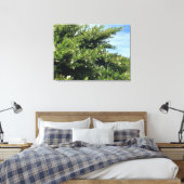 Een bloeiend Californië: sneeuwmest Canvas Afdruk (Insitu (Slaapkamer))