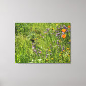 Een bloeiend Californië: Wildbloemen Canvas Afdruk (Voorkant)