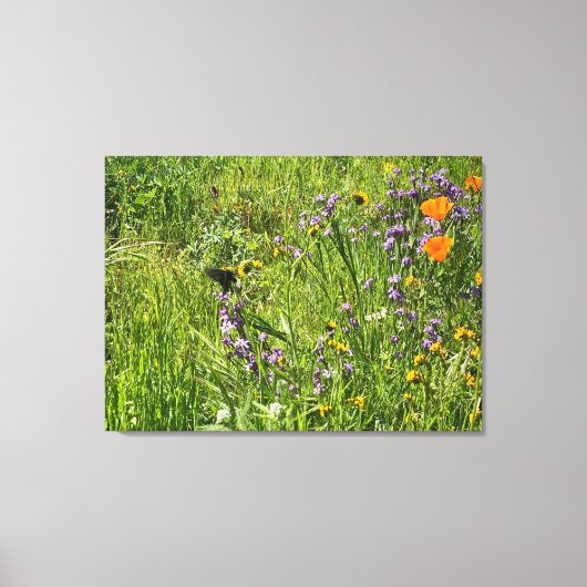Een bloeiend Californië: Wildbloemen Canvas Afdruk (Voorkant)