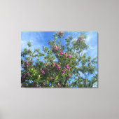 Een bloeiend Californië:woestijn Willow Canvas Afdruk (Voorkant)