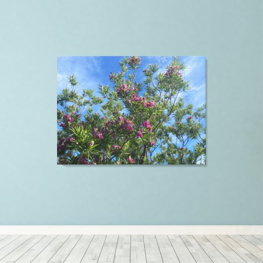 Een bloeiend Californië:woestijn Willow Canvas Afdruk (Insitu (Houten vloer))