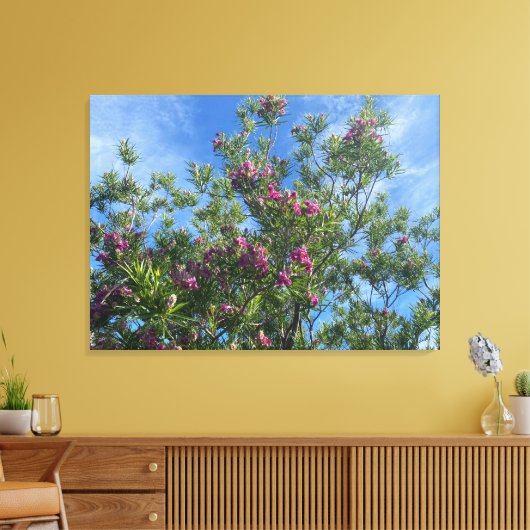 Een bloeiend Californië:woestijn Willow Canvas Afdruk (Insitu (Woonkamer))