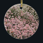 Een bloeiend Californië: Zee Cliff Buckwheat Keramisch Ornament<br><div class="desc">A Blooming California: Celebrating California's Native Planten: Zee Cliff Buckwheat (Eriogonum parvifolium) - Asilomar State Beach,  2021</div>