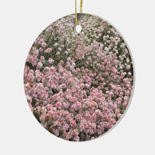 Een bloeiend Californië: Zee Cliff Buckwheat Keramisch Ornament (Links)