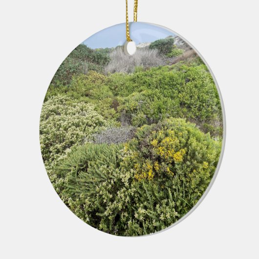 Een bloeiend Californië: Zee Cliff Buckwheat Keramisch Ornament (Links)