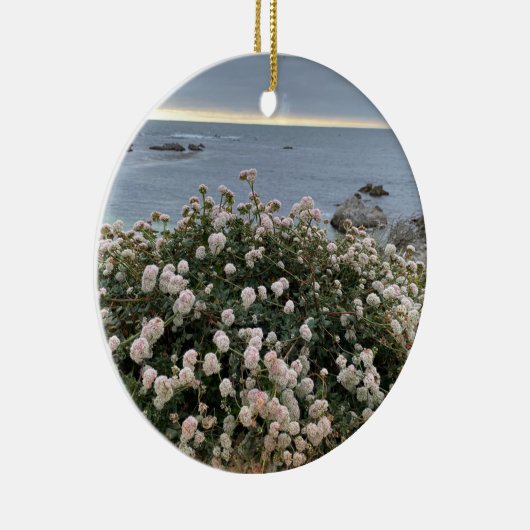 Een bloeiend Californië: Zee Cliff Buckwheat Keramisch Ornament (Rechts)