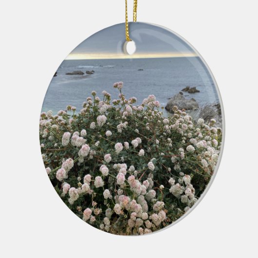 Een bloeiend Californië: Zee Cliff Buckwheat Keramisch Ornament (Links)