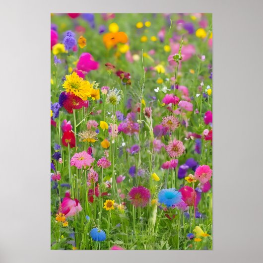 Een bloeiend uitzicht met mooie weide in de lente poster (Voorkant)