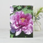 Een bloeiende pony-blanco kaart (Staand voorkant)