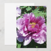 Een bloeiende pony-blanco kaart (Voorkant / Achterkant)