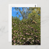 Een bloeiende Valentijnsdag! Briefkaart (Voorkant / Achterkant)