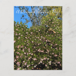 Een bloeiende Valentijnsdag! Briefkaart