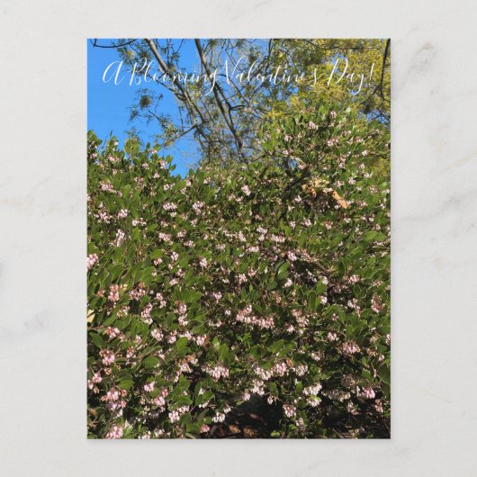 Een bloeiende Valentijnsdag! Briefkaart (Voorkant)