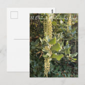 Een bloeiende Valentijnsdag! Briefkaart (Voorkant / Achterkant)