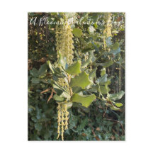 Een bloeiende Valentijnsdag! Briefkaart