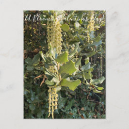 Een bloeiende Valentijnsdag! Briefkaart