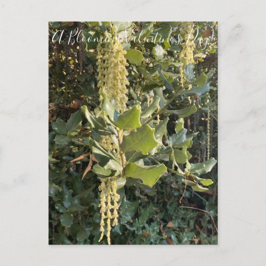 Een bloeiende Valentijnsdag! Briefkaart (Voorkant)