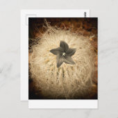 Een bloem briefkaart (Voorkant / Achterkant)