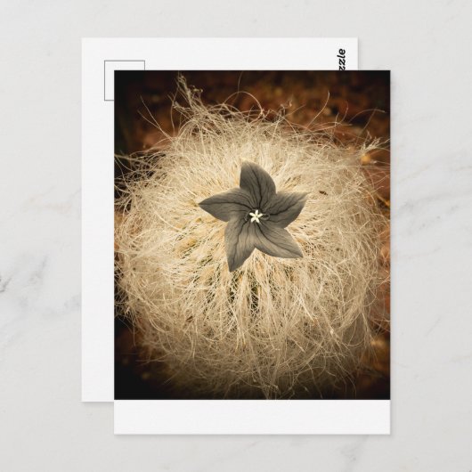 Een bloem briefkaart (Voorkant / Achterkant)