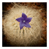 Een bloem perfect poster (Voorkant)