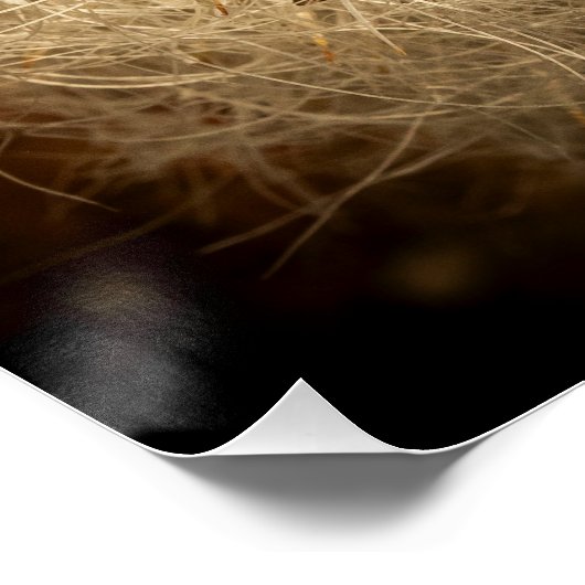 Een bloem perfect poster (Hoek)