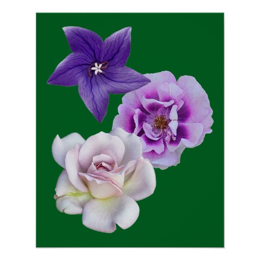 Een bloem perfect poster (Voorkant)