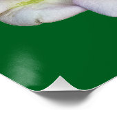 Een bloem perfect poster (Hoek)