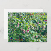 EEN BLOEMENDE VALENTIJN BRIEFKAART (Voorkant / Achterkant)