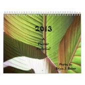 Een blokfoto kalender (Hoes)