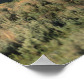 Een blokhut en de Sawtooth Mountains in Poster (Hoek)