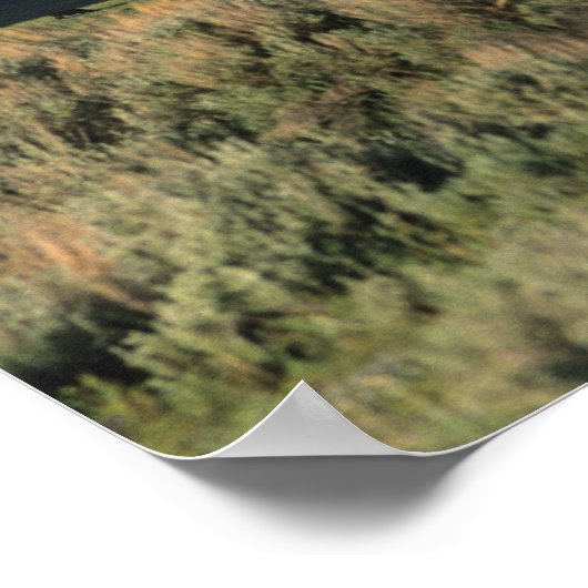 Een blokhut en de Sawttogebergten in Poster (Hoek)