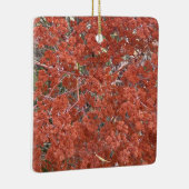 Een Blooming Californië: St. Catherine's kant Keramisch Ornament (Rechts)