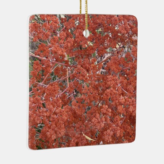 Een Blooming Californië: St. Catherine's kant Keramisch Ornament (Rechts)