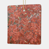 Een Blooming Californië: St. Catherine's kant Keramisch Ornament (Links)