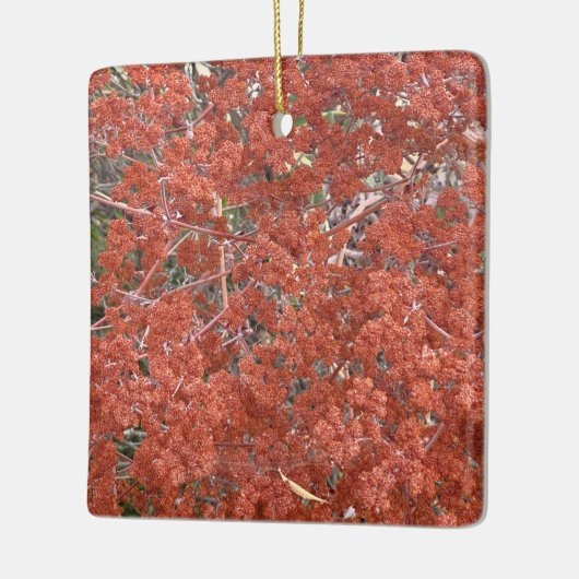 Een Blooming Californië: St. Catherine's kant Keramisch Ornament (Links)