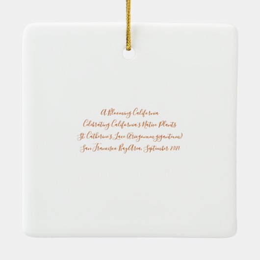 Een Blooming Californië: St. Catherine's kant Keramisch Ornament (Achterkant)