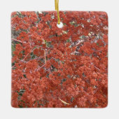 Een Blooming Californië: St. Catherine's kant Keramisch Ornament (Voorkant)