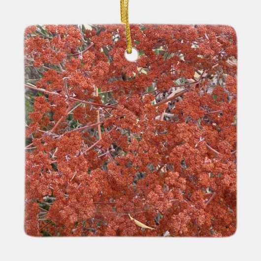 Een Blooming Californië: St. Catherine's kant Keramisch Ornament (Voorkant)