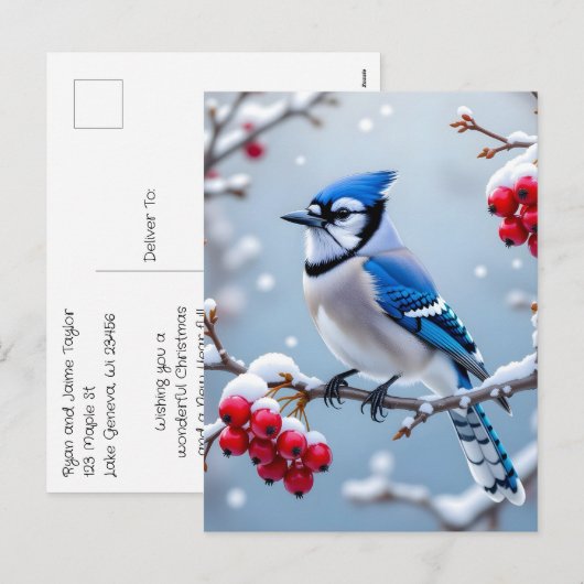 Een Blue Jay op een Snowy Branch Christmas Feestdagenkaart (Voorkant / Achterkant)