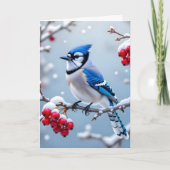 Een  Blue Jay op een Snowy Branch Christmas Kaart (Voorkant)