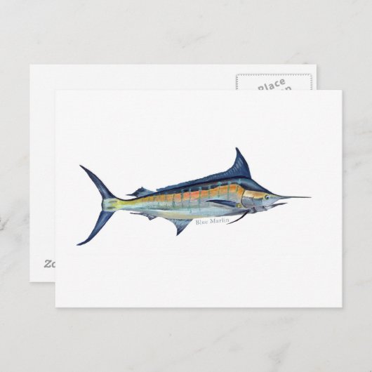 Een Blue Marlin vis briefkaart (Voorkant / Achterkant)